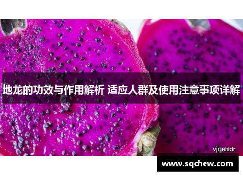 地龙的功效与作用解析 适应人群及使用注意事项详解